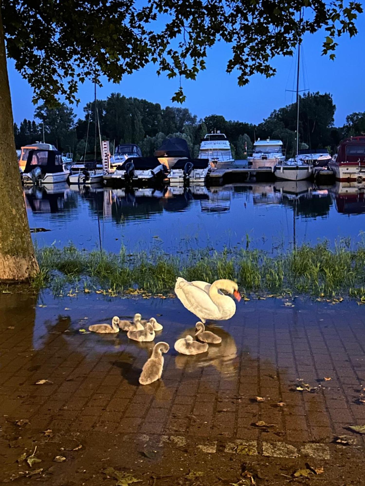 Hafenperle Villa Wiesbaden Eksteriør billede